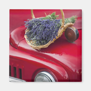 Lavendelsträuße ruhen auf altem Farm-Pickup-Truck Magnet