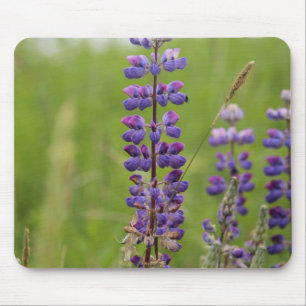 Lavender Alaskan Lupines Mousepad