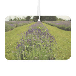 Lavender  autolufterfrischer