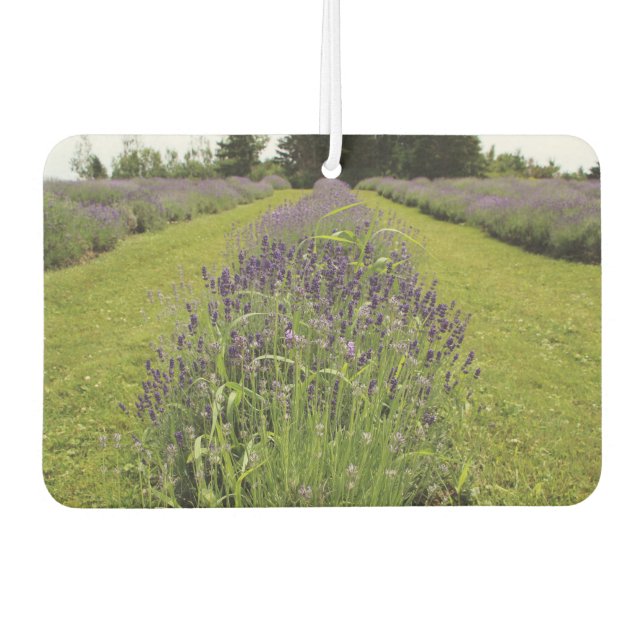 Lavender  autolufterfrischer (Vorderseite)