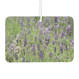 Lavender  autolufterfrischer