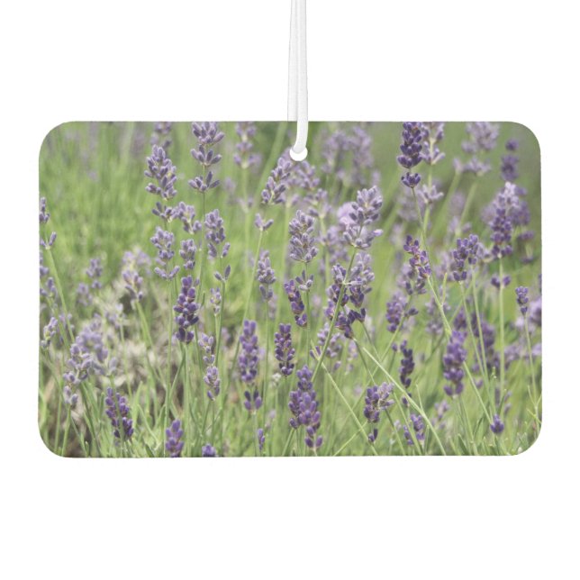 Lavender  autolufterfrischer (Vorderseite)