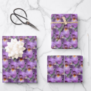 Lavender Bearded Iris Blume Nattern Muster Geschenkpapier Set
