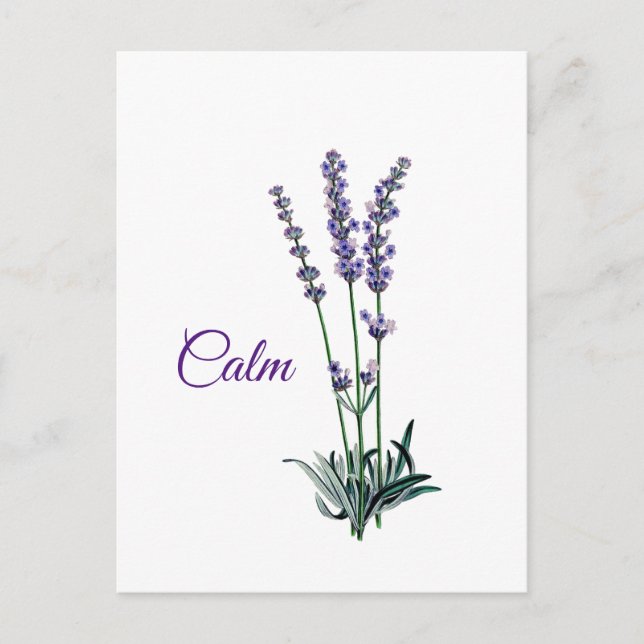 Lavender Blume Ruhe Inspiration Postkarte (Vorderseite)