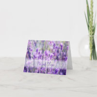 Lavender Blume Vielen Dank