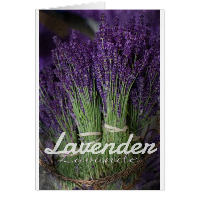 Lavender Bunch (Devant)
