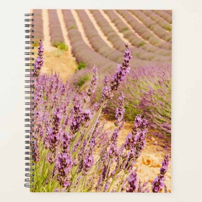 Lavender cadeau à thème pour l'amoureux du voyage (Devant)