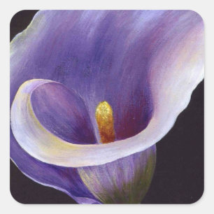 Lavender Calla Lily Quadratischer Aufkleber