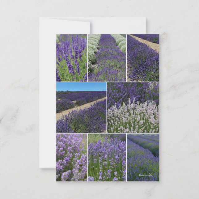 Lavender Collage Mitteilungskarte (Vorderseite)