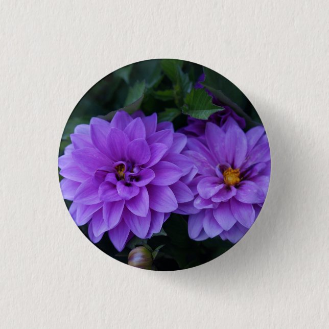 Lavender Dahlia Lilac Pinback Button (Vorderseite)
