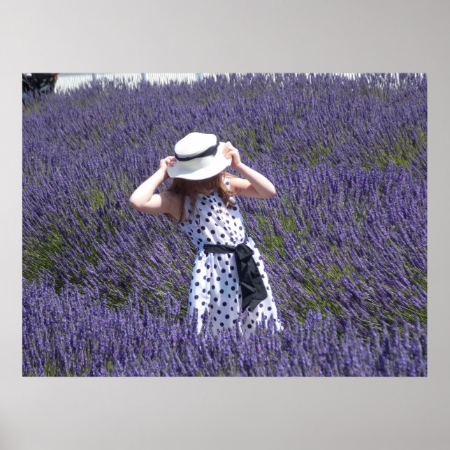 Lavender Days Poster (Vorne)