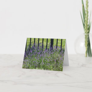 Lavender Delight Dankeskarte