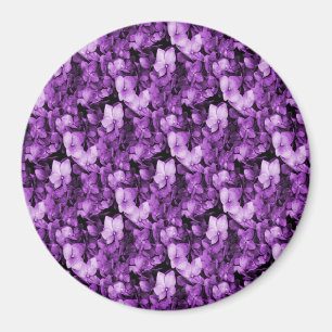Lavender Delight... Magnet