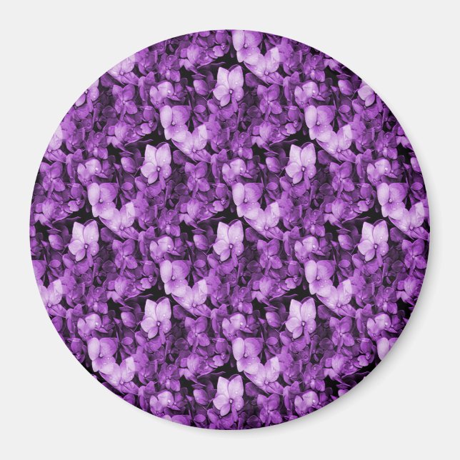Lavender Delight... Magnet (Vorne)