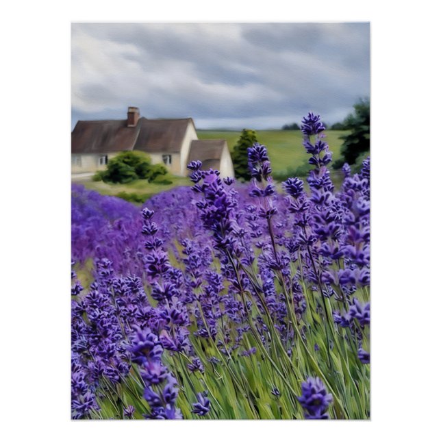 Lavender dreams poster (Vorderseite)