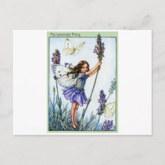 Lavender Fairy Postkarte