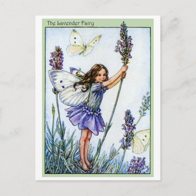 Lavender Fairy Postkarte (Vorderseite)
