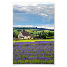 Lavender Field Summer Blume Cotswolds England Fotodruck