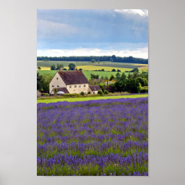 Lavender Field Summer Blume Cotswolds England Poster