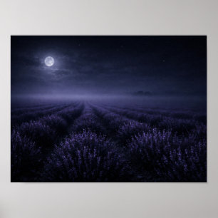 Lavender Field under Full Moon Night Poster