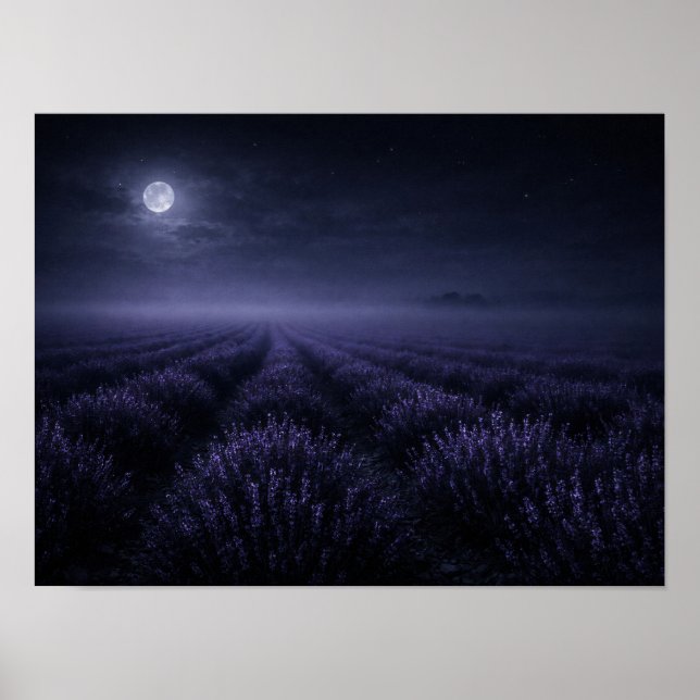 Lavender Field under Full Moon Night Poster (Vorne)