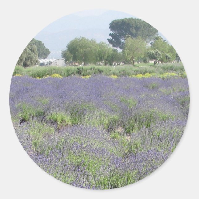 Lavender Fields Runder Aufkleber (Vorderseite)