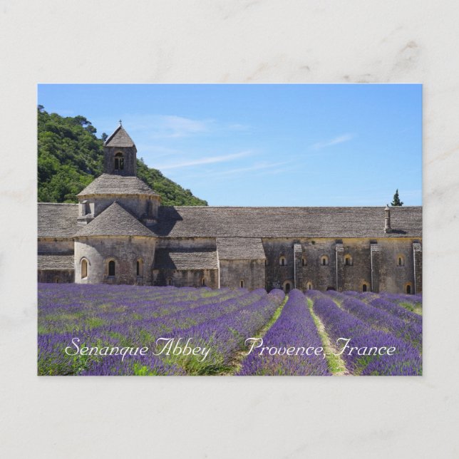 Lavender Fields von Senanque Abbey Postkarte (Vorderseite)