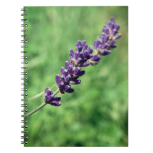 Lavender Foto Spiral Notebook Notizblock