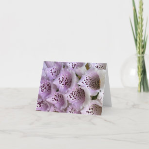 Lavender Foxhandschuhe Dankeskarte