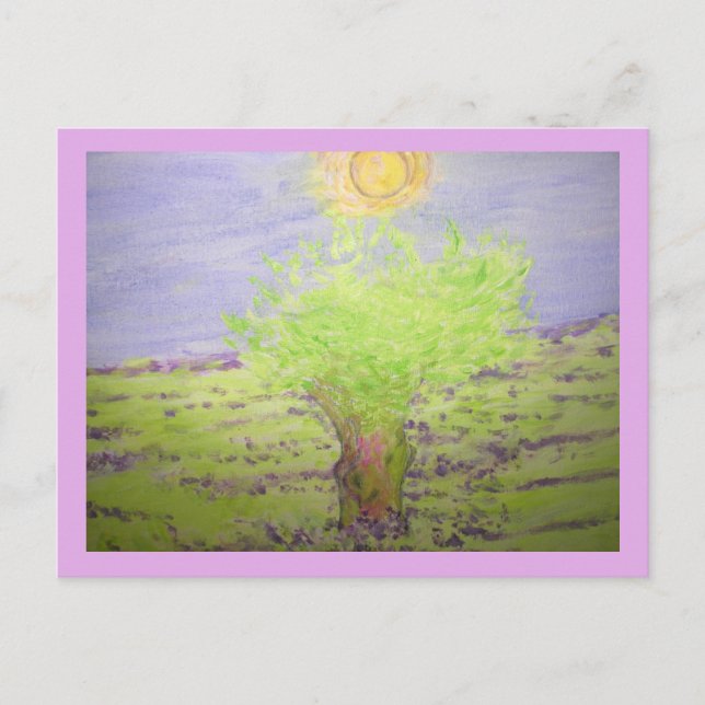 Lavender Fragrance Postkarte (Vorderseite)