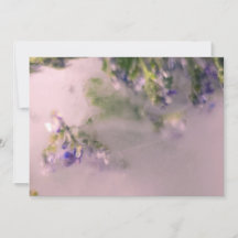 Lavender Frost