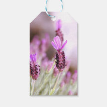 Lavender-Geschenk-Tag