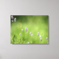 Lavender & Green Fotografy Art