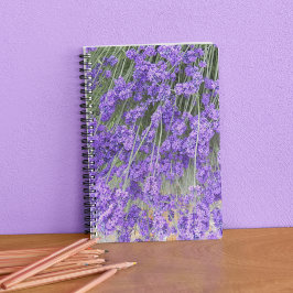Lavender Herb Blooms Floral Notizbuch