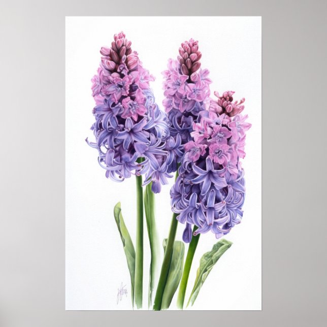 Lavender Hyacinth Flower Art Imprimer Poster (Devant)