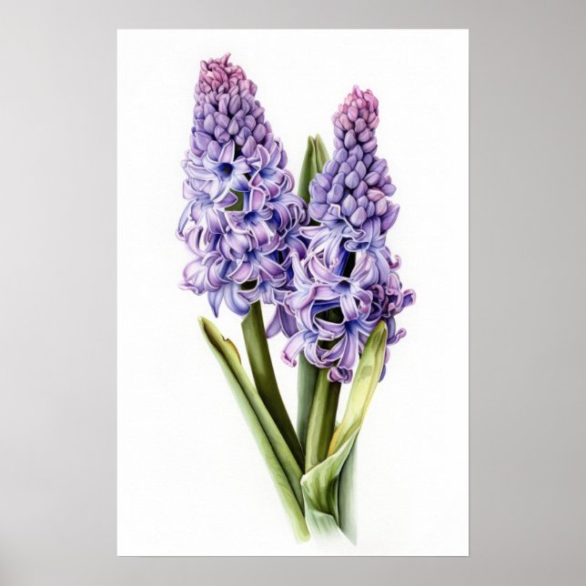 Lavender Hyacinth Flower Art Imprimer Poster (Devant)