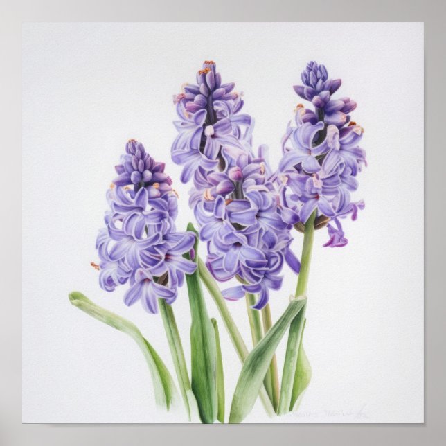 Lavender Hyacinth Flower Art Imprimer Poster (Devant)