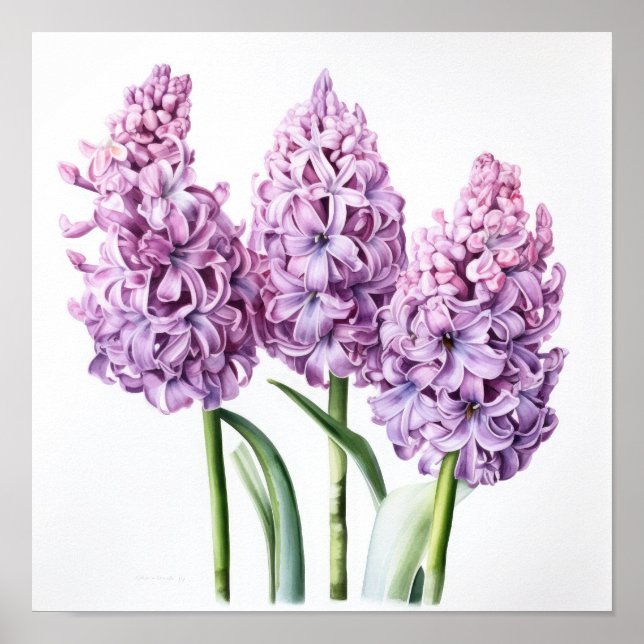 Lavender Hyacinth Flower Art Imprimer Poster (Devant)
