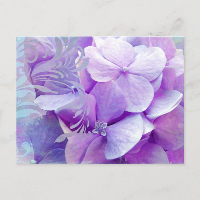 Lavender Hydrangea Floral Swirl Postkarte (Vorderseite)