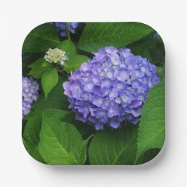 Lavender Hydrangea Pappteller