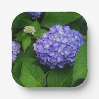 Lavender Hydrangea Pappteller