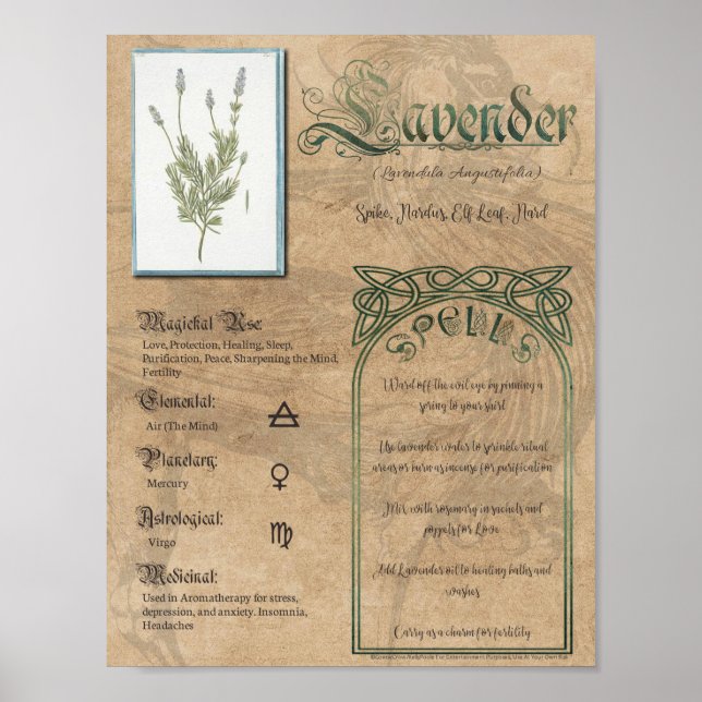 Lavender Kräuterbuch Schatten Pagan Wiccan Poster (Vorne)