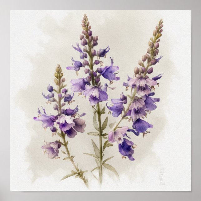 Lavender Larkspur Flower Art Imprimer Poster (Devant)