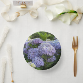 Lavender & Lilac Hortensia Hydrangea Blume Pappteller