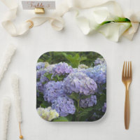 Lavender & Lilac Hortensia Hydrangea Blume
