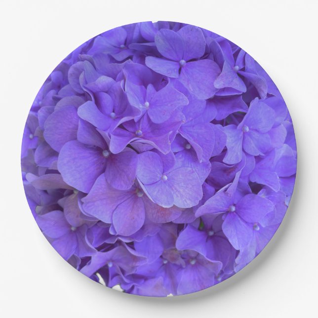 Lavender lilac lila Hydrangeas violette Blumen Pappteller (Vorderseite)