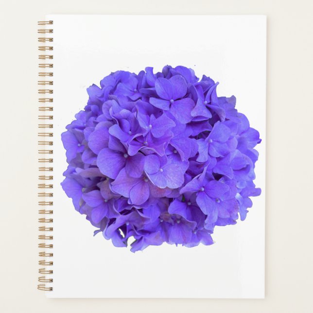 Lavender lilac lila Hydrangeas violette Blumen Planer (Vorderseite)