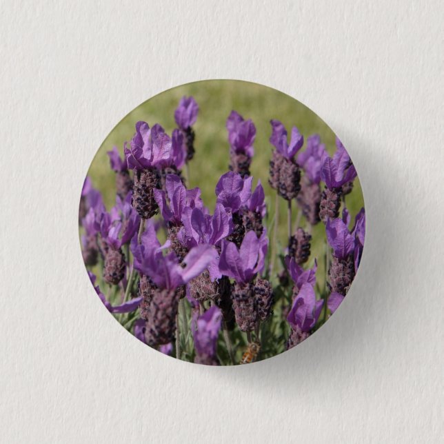 Lavender Meadow-Blume Button (Vorderseite)