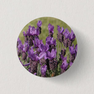 Lavender Meadow-Blume Button