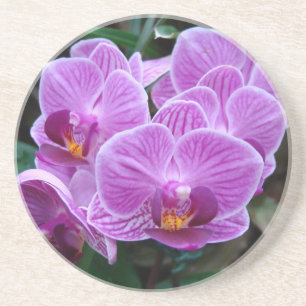 Lavender Orchid Untersetzer